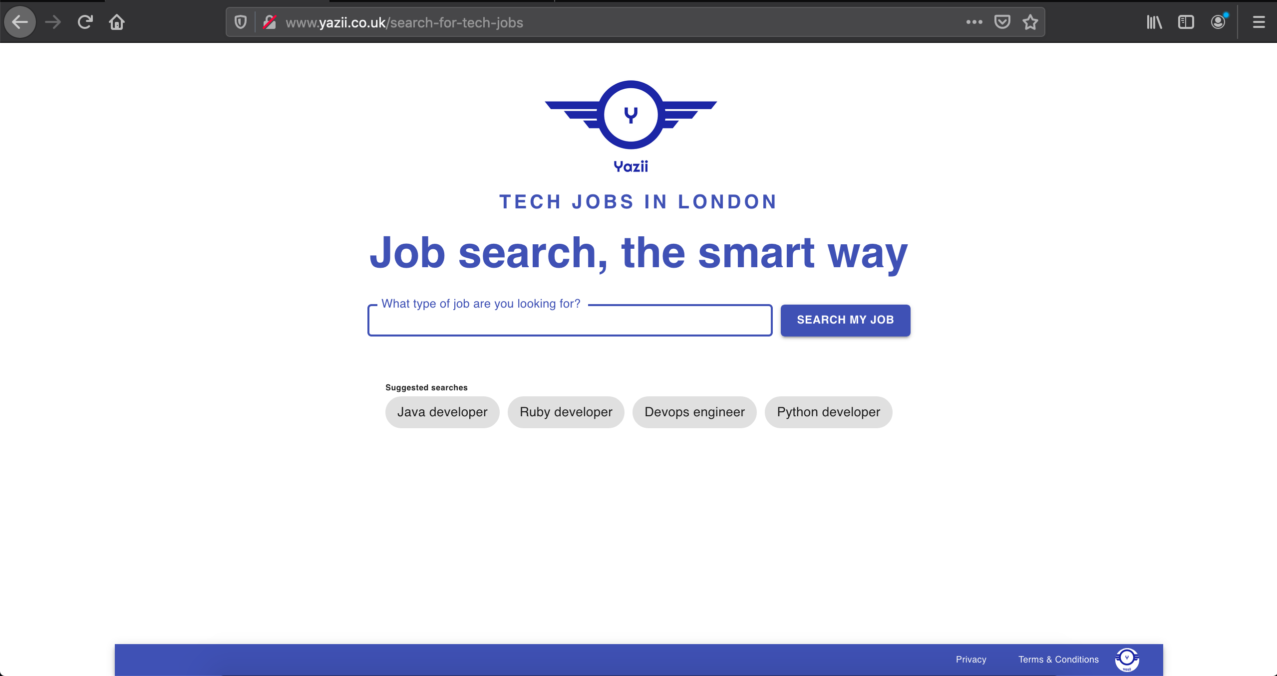 The domain will now be live and connected to server
