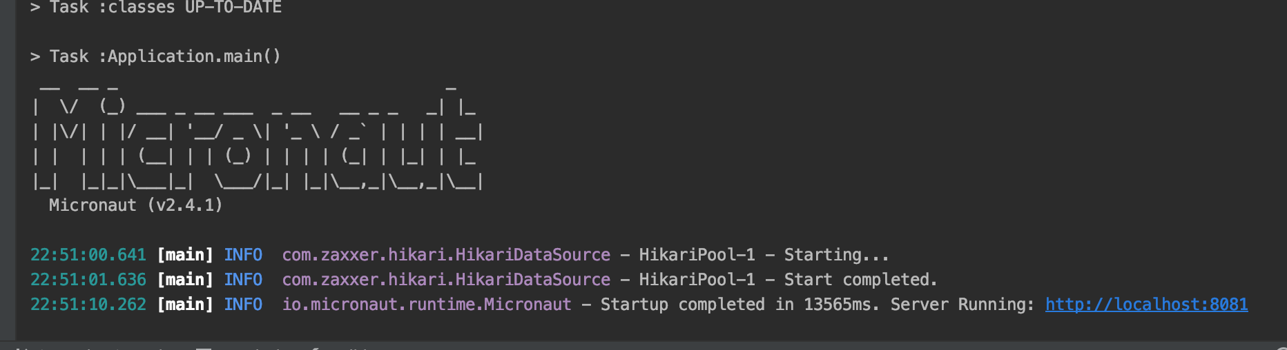 application started on localhost on port 8081