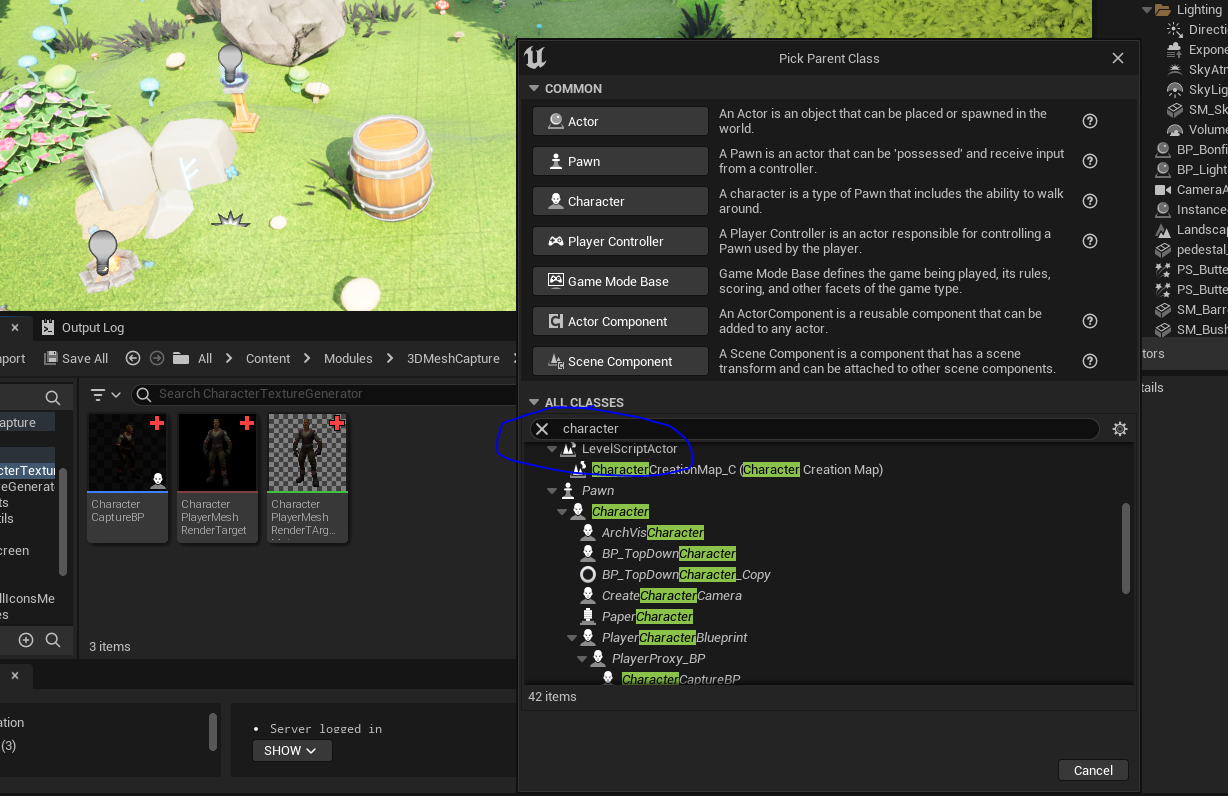 create character capture blueprint