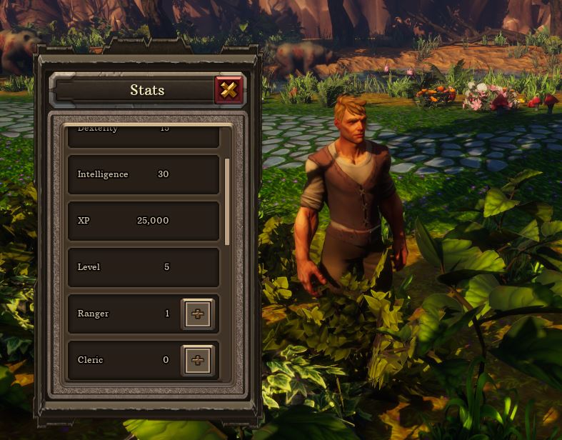 Character XP and Levels at play
