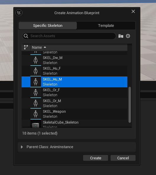 Create anim BP with SKEL_Hu_M